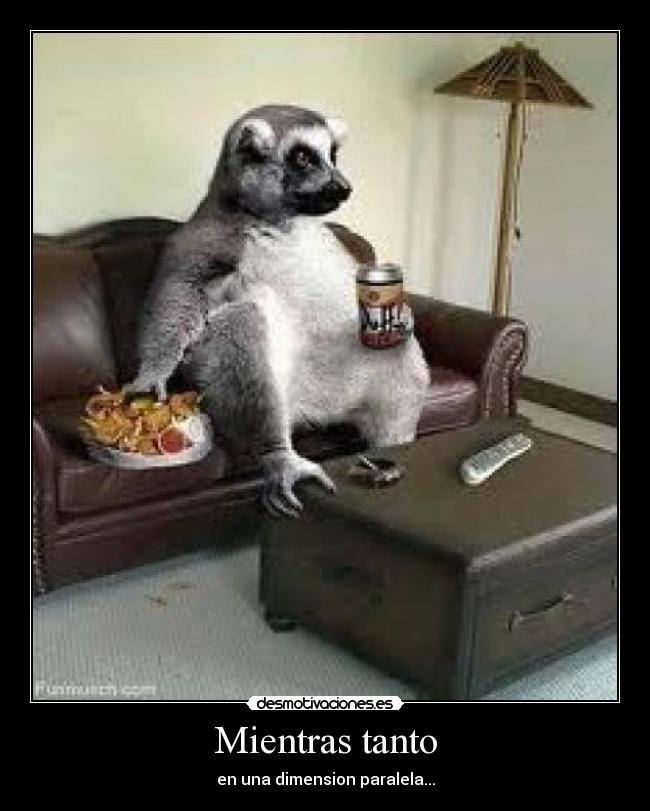 Mientras tanto - en una dimension paralela...