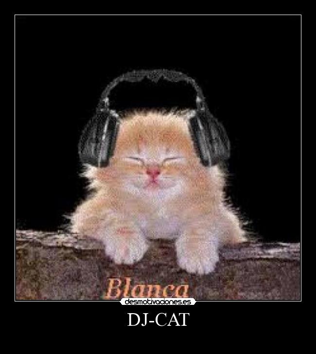 DJ-CAT - 