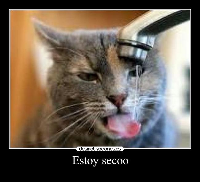 Estoy secoo - 