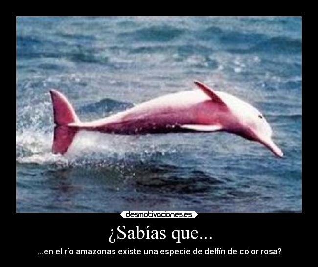 carteles marioentero desmotivaciones