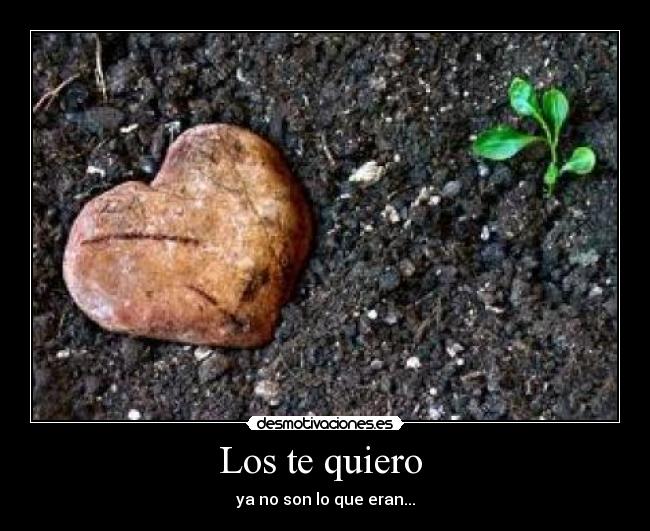 Los te quiero  - 