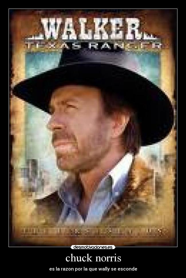 chuck norris -