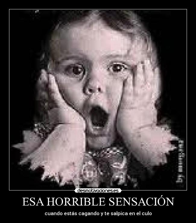 carteles culo agua sensacion desmotivaciones