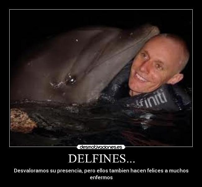 DELFINES... - 