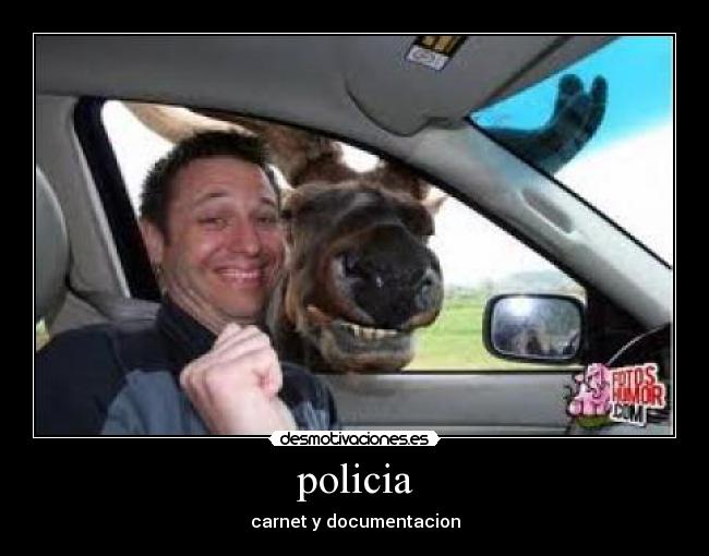 policia - 