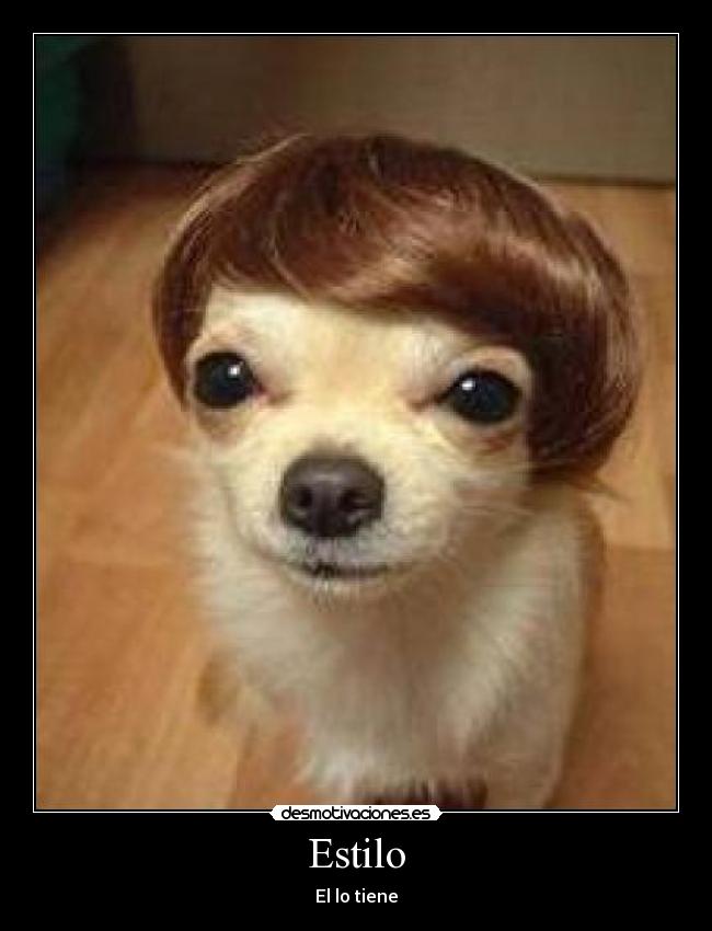 Estilo -