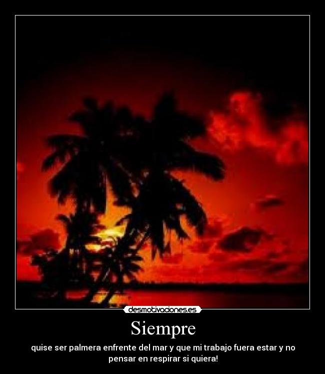 Siempre - quise ser palmera enfrente del mar y que mi trabajo fuera estar y no
pensar en respirar si quiera!