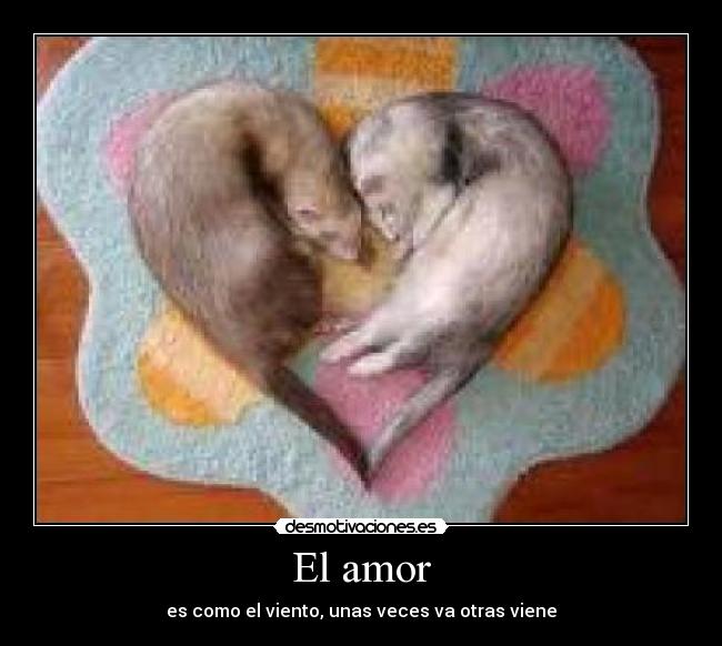 El amor -