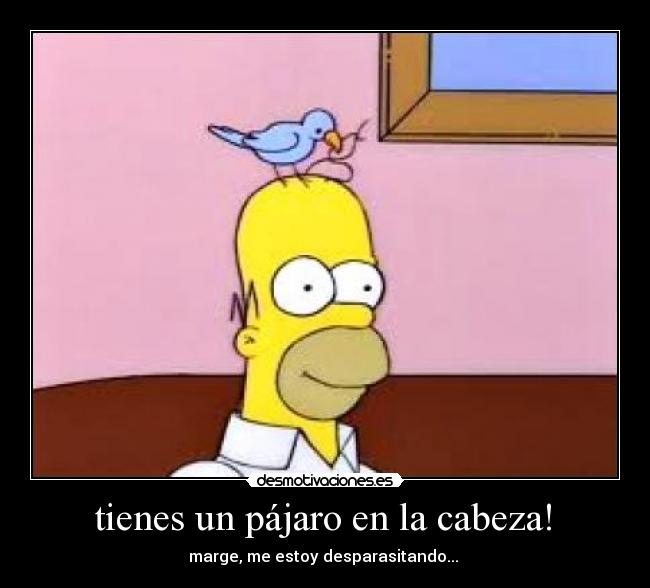  tienes un pájaro en la cabeza!  - 