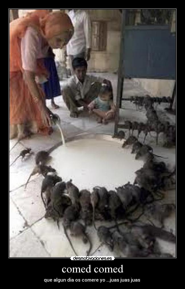 comed comed - que algun dia os comere yo ...juas juas juas