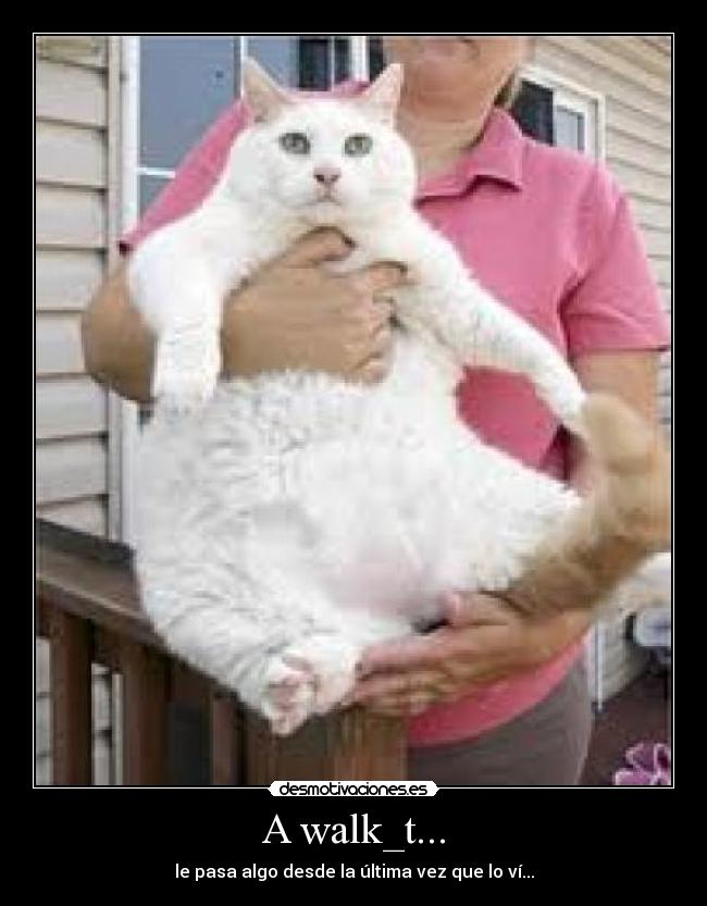 A walk_t... - le pasa algo desde la última vez que lo ví...