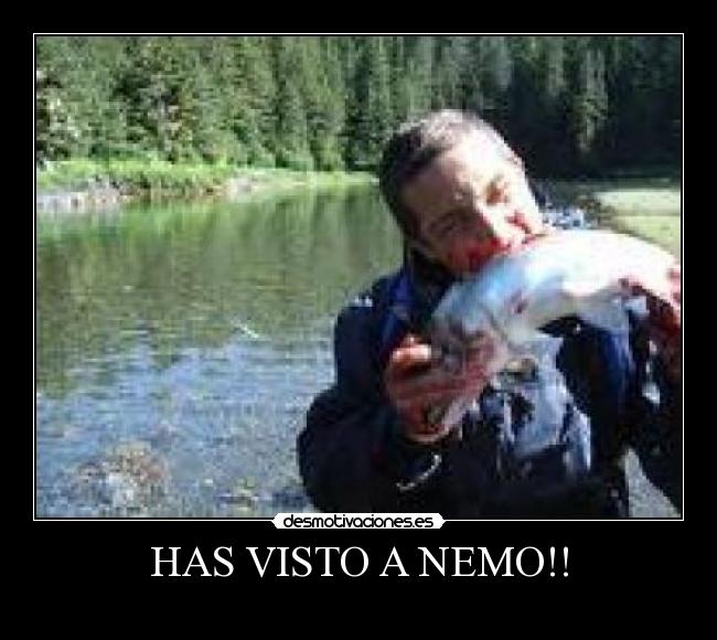 carteles pablo desmotivaciones