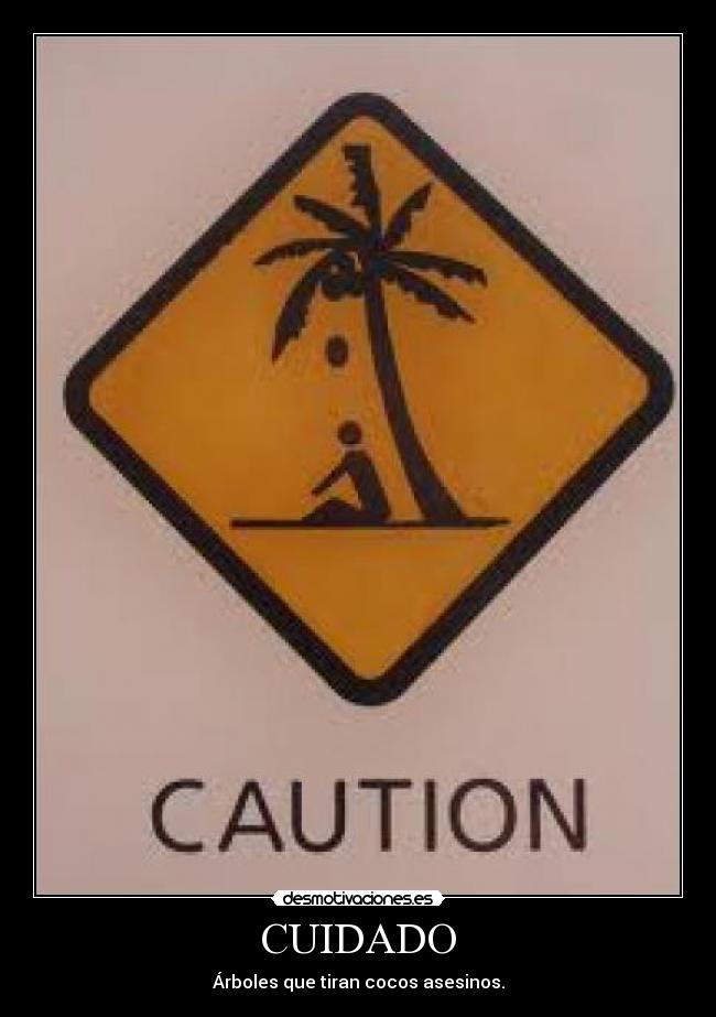 CUIDADO - Árboles que tiran cocos asesinos.