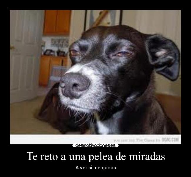 carteles haruya desmotivaciones