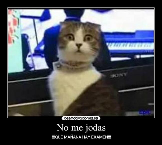 No me jodas - !!!QUE MAÑANA HAY EXAMEN!!!