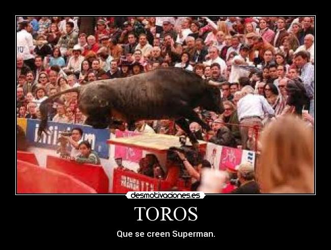 TOROS -