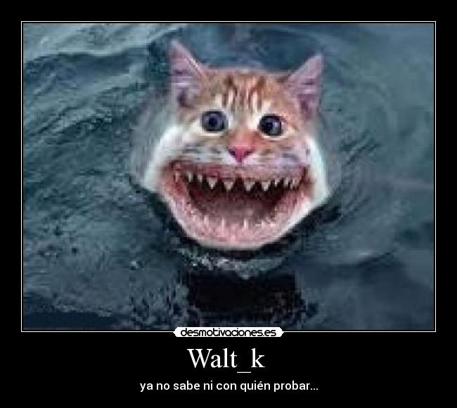 Walt_k -