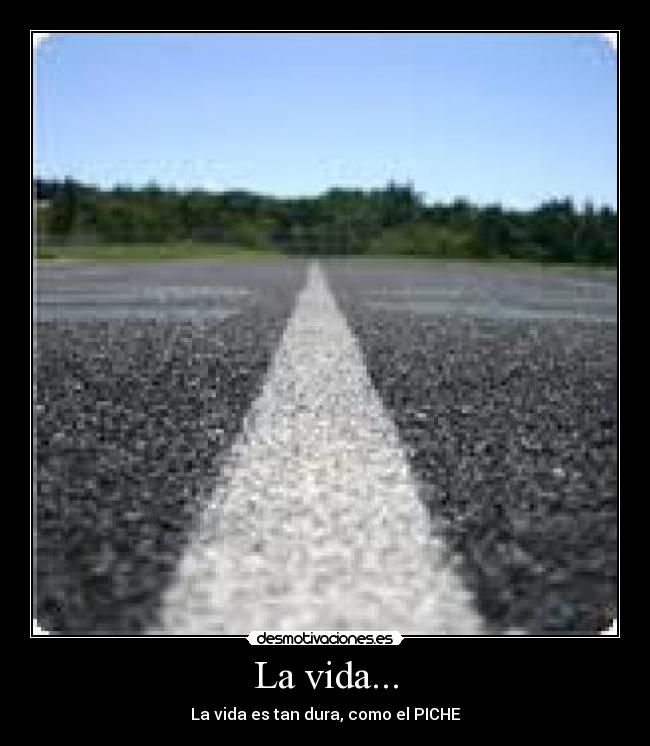 La vida... - La vida es tan dura, como el PICHE