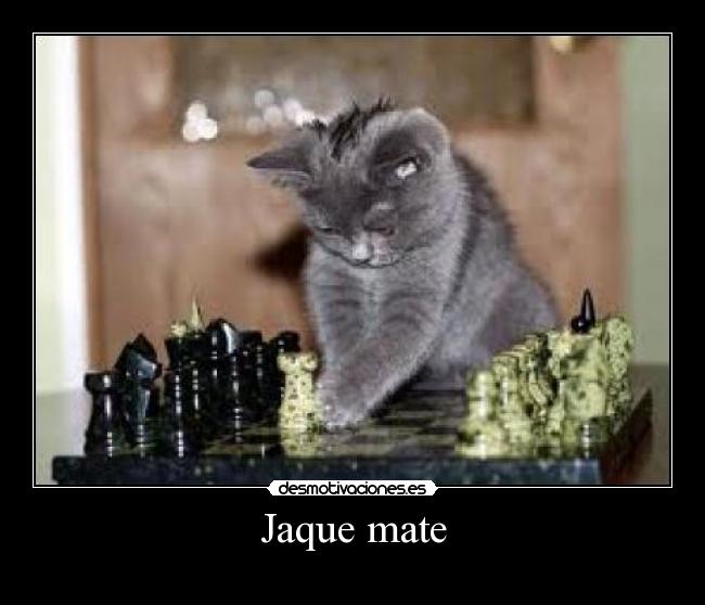Jaque mate - 