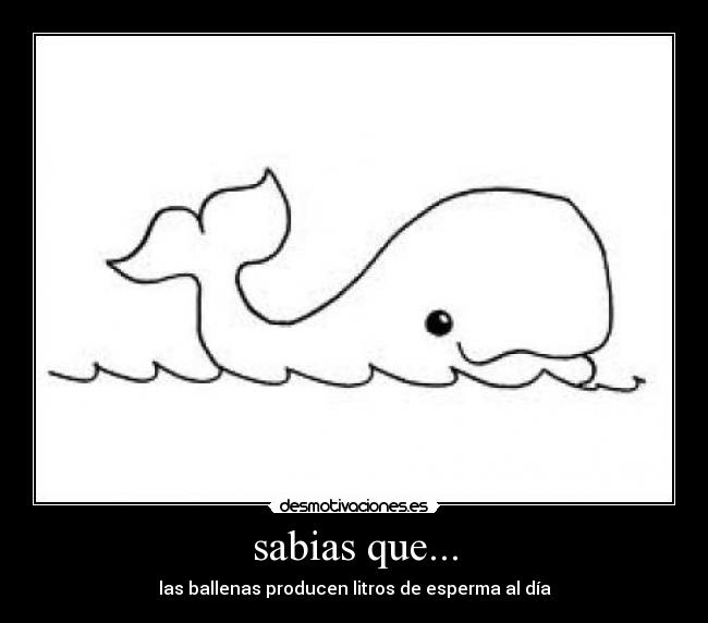 sabias que... -