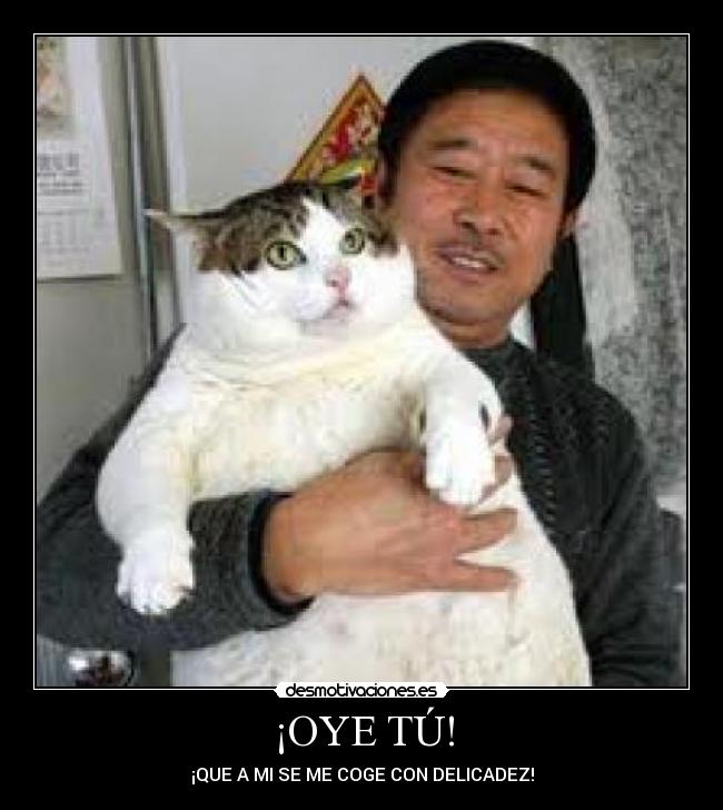 ¡OYE TÚ! - ¡QUE A MI SE ME COGE CON DELICADEZ!