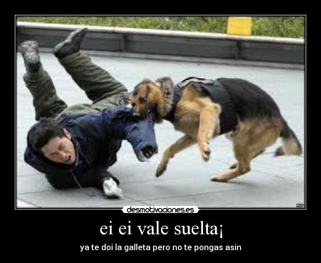 ei ei vale suelta¡ -