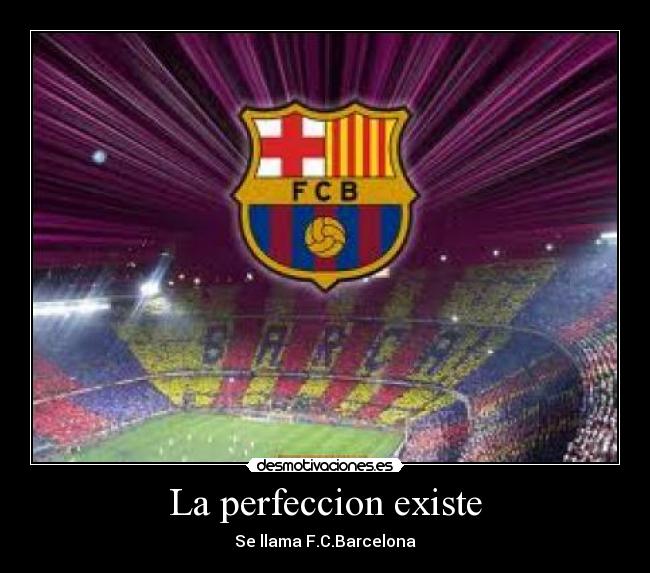 La perfeccion existe -