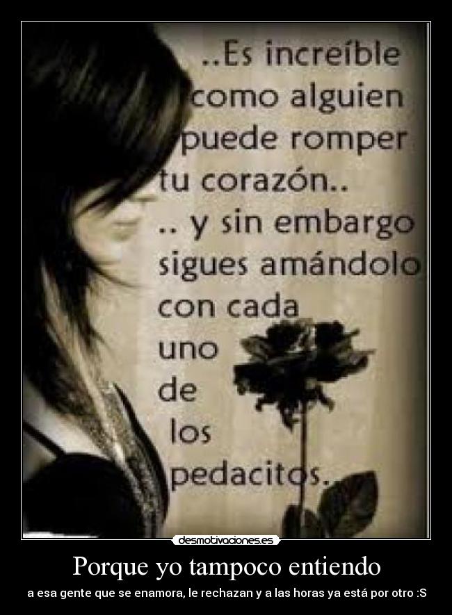 Porque yo tampoco entiendo - a esa gente que se enamora, le rechazan y a las horas ya está por otro :S