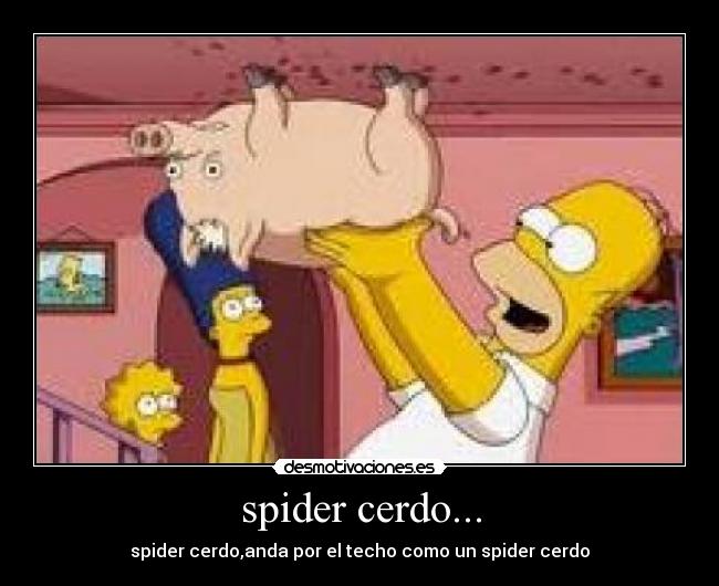 spider cerdo... - spider cerdo,anda por el techo como un spider cerdo