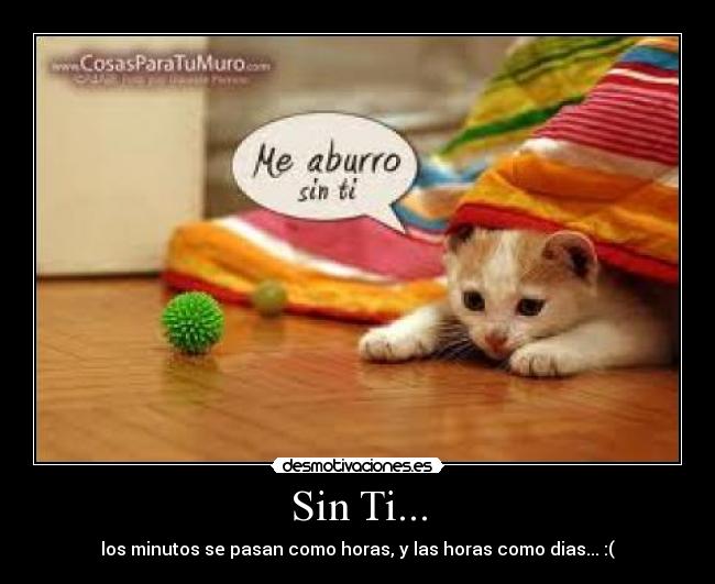 Sin Ti... -