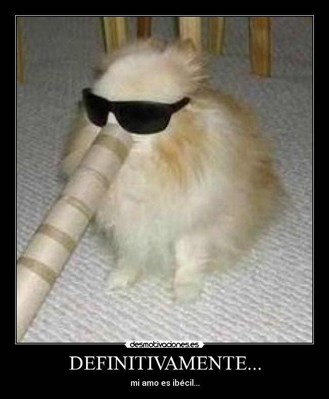 DEFINITIVAMENTE... - 