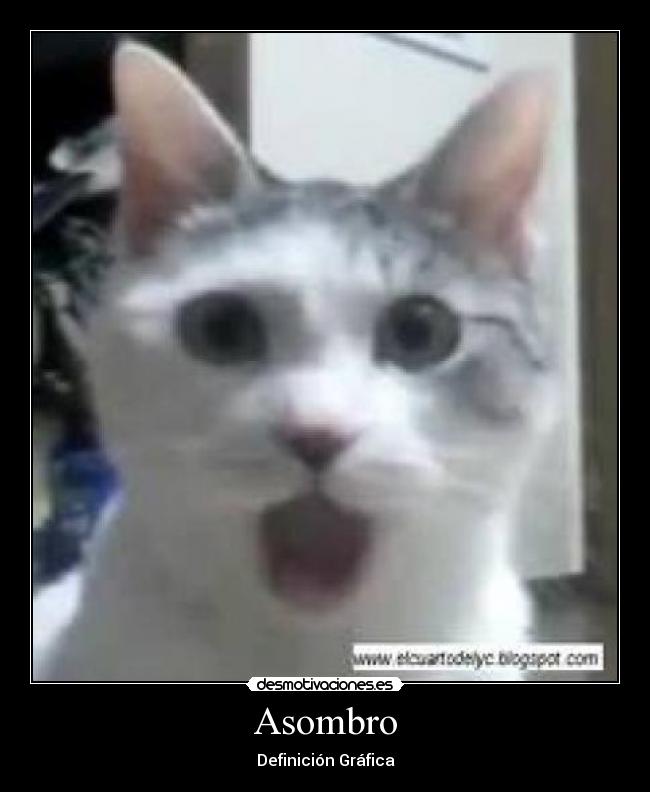 carteles asombracion desmotivaciones