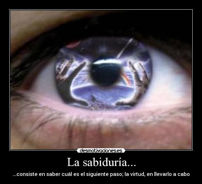 carteles walt_k desmotivaciones