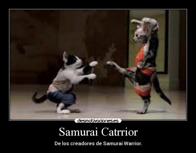 Samurai Catrrior - De los creadores de Samurai Warrior.