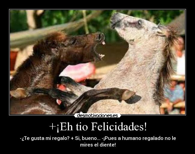 +¡Eh tio Felicidades! - 