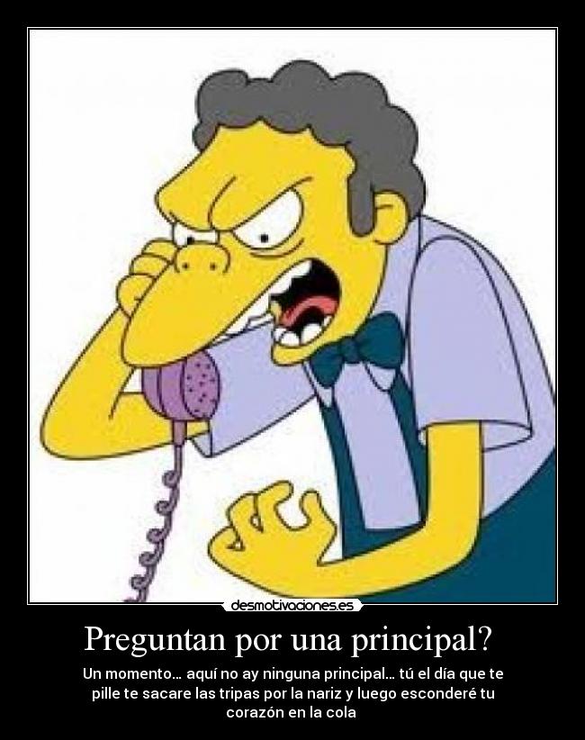 Preguntan por una principal?  - 