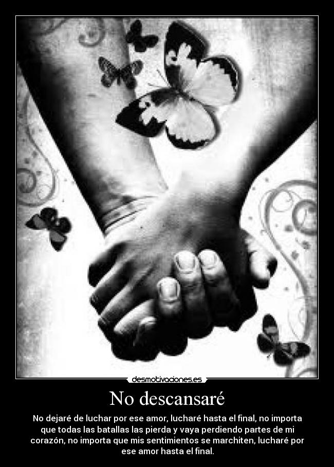 No descansaré -