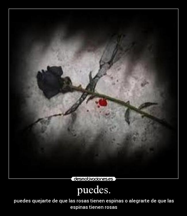 puedes. - 