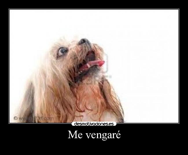 Me vengaré -