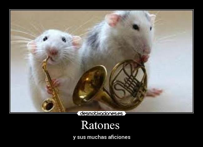 Ratones - y sus muchas aficiones