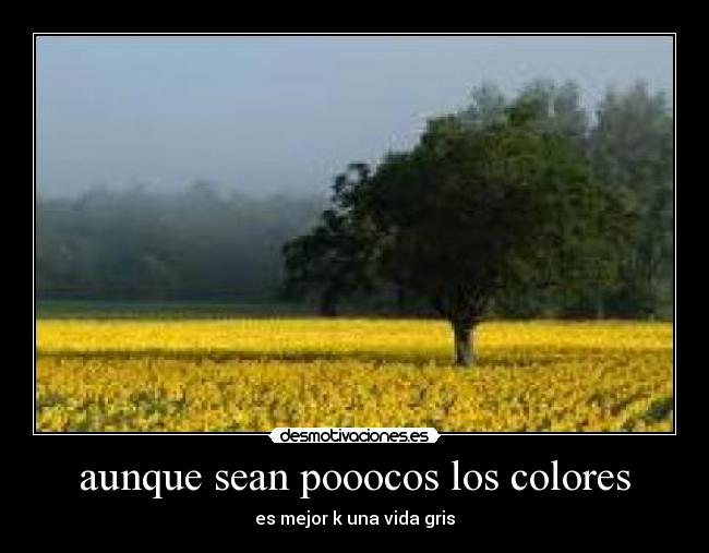 carteles pablo desmotivaciones