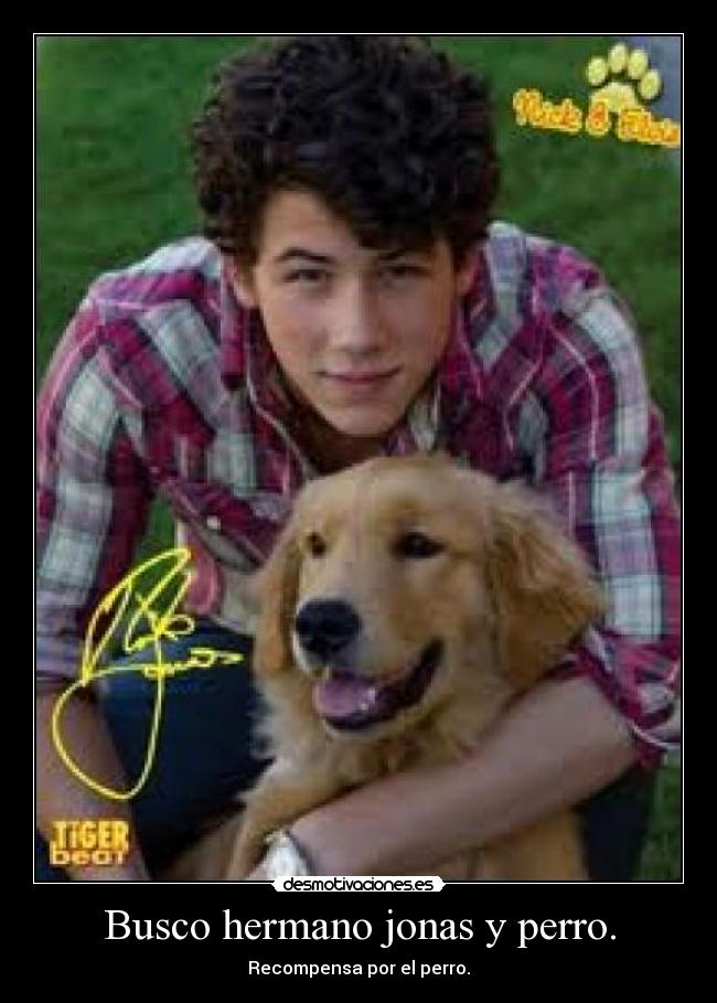 Busco hermano jonas y perro. - 