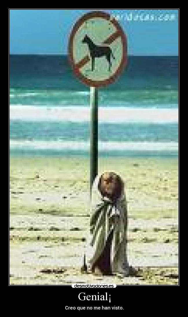 carteles perro desmotivaciones