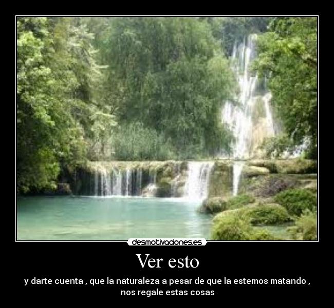 Ver esto - y darte cuenta , que la naturaleza a pesar de que la estemos matando ,
nos regale estas cosas