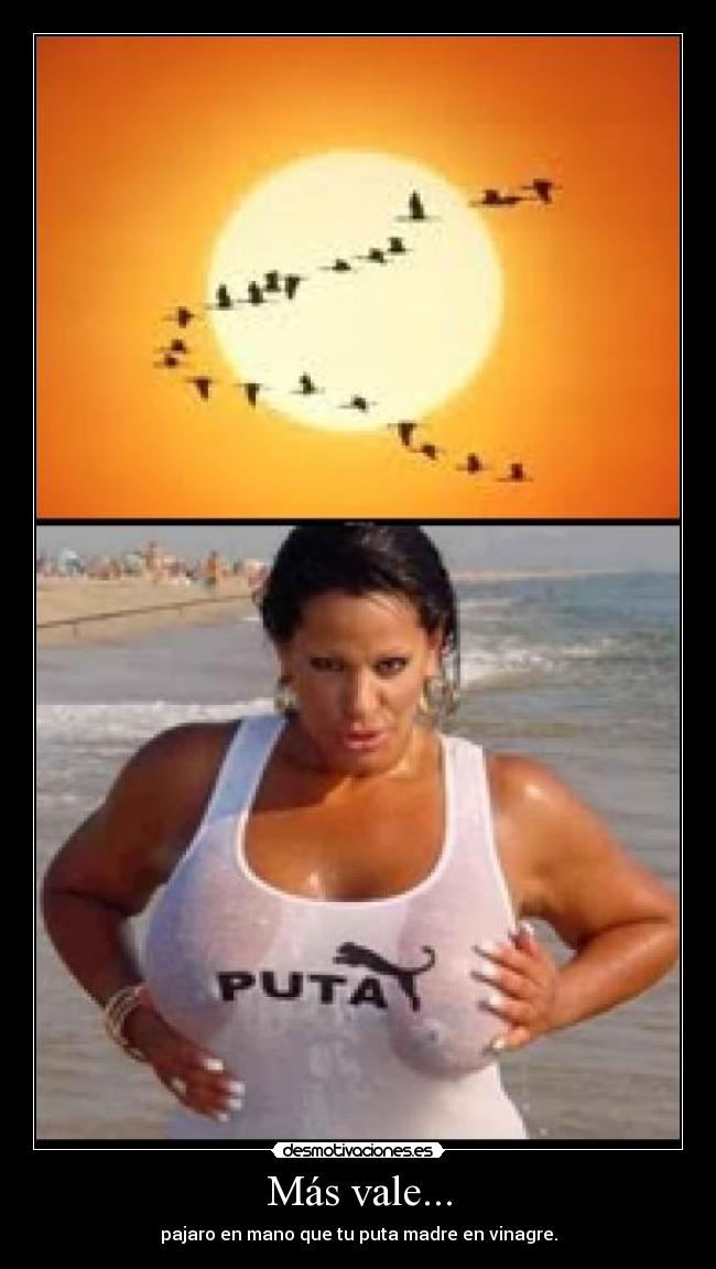Más vale... - pajaro en mano que tu puta madre en vinagre.