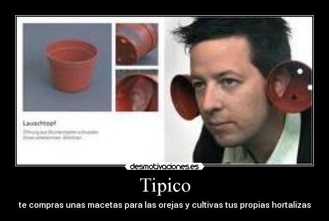 Tipico - 