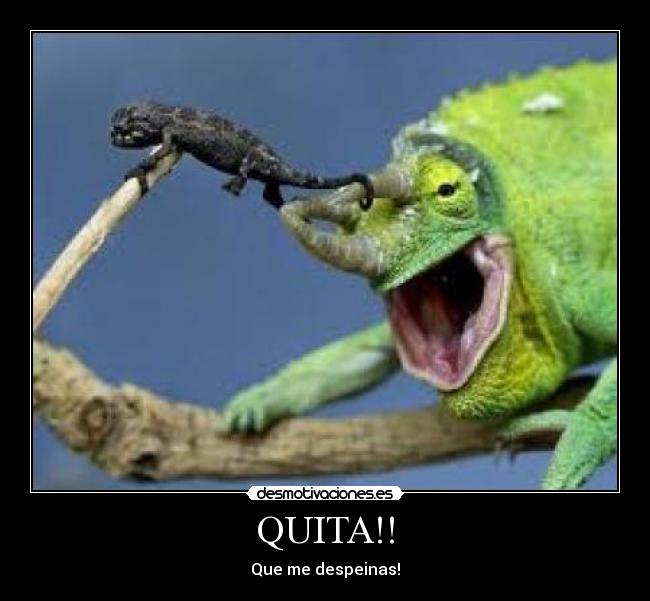 QUITA!! - Que me despeinas!