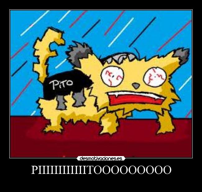 PIIIIIIIIIIIITOOOOOOOOO - 