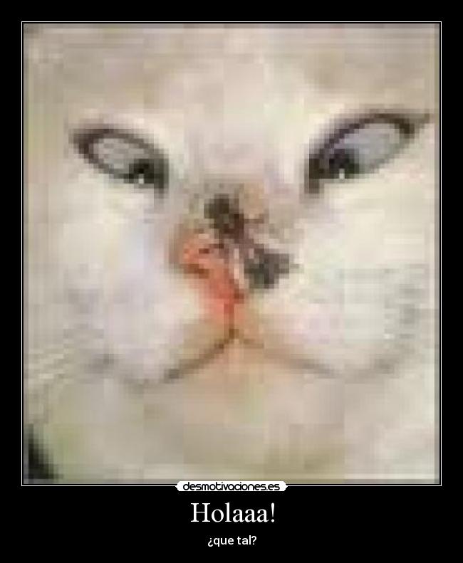 Holaaa! - 