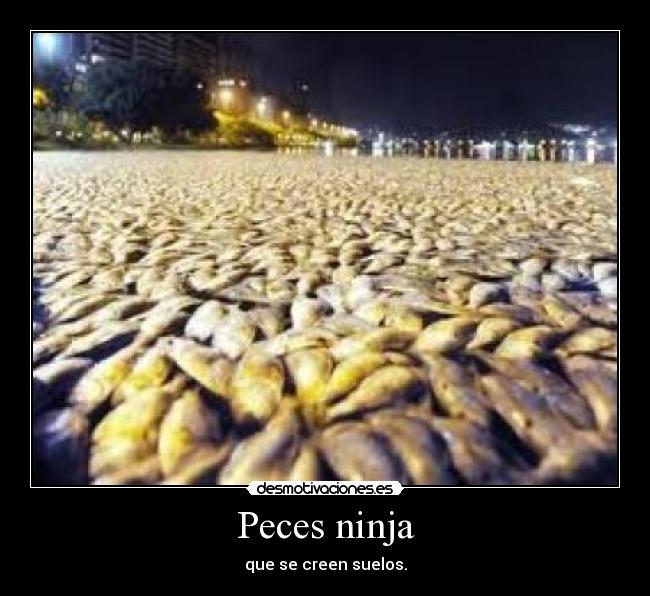 Peces ninja - que se creen suelos.